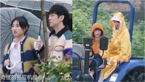 全员吃瓜网,揭秘娱乐圈幕后故事，带你领略明星真实生活