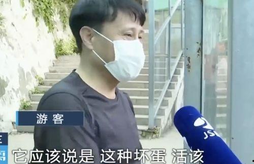 网红吃瓜小玉是谁,从吃瓜达人到网络红人的蜕变之路
