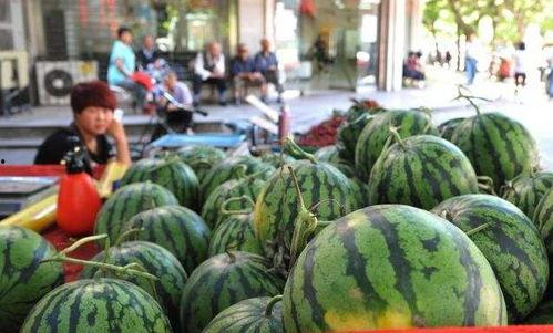 韩城市网红吃瓜,揭秘当地美食文化新潮流