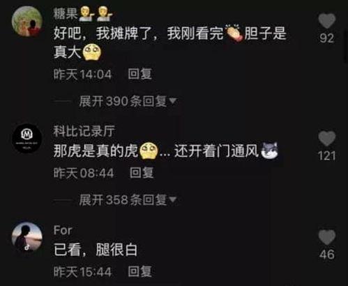 厦门网红事件吃瓜视频,吃瓜群众围观网络风云录